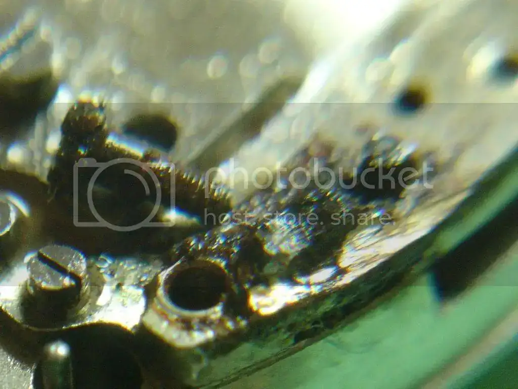 DSC09930_zps7f1eabc5.webp