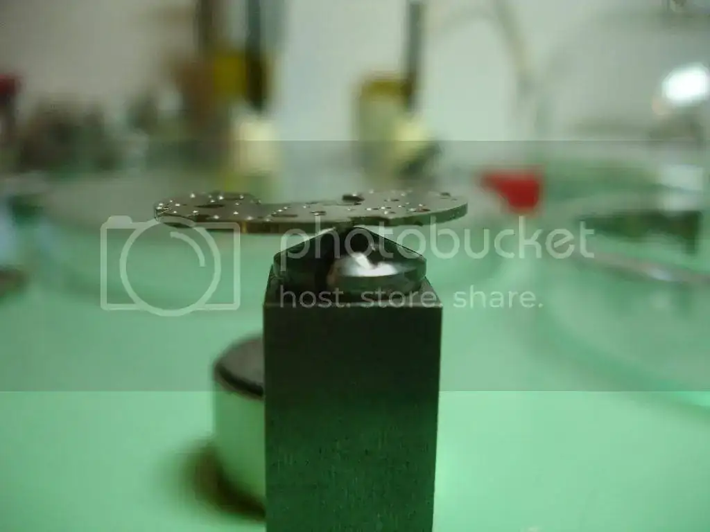 DSC09982_zps738546b9.webp