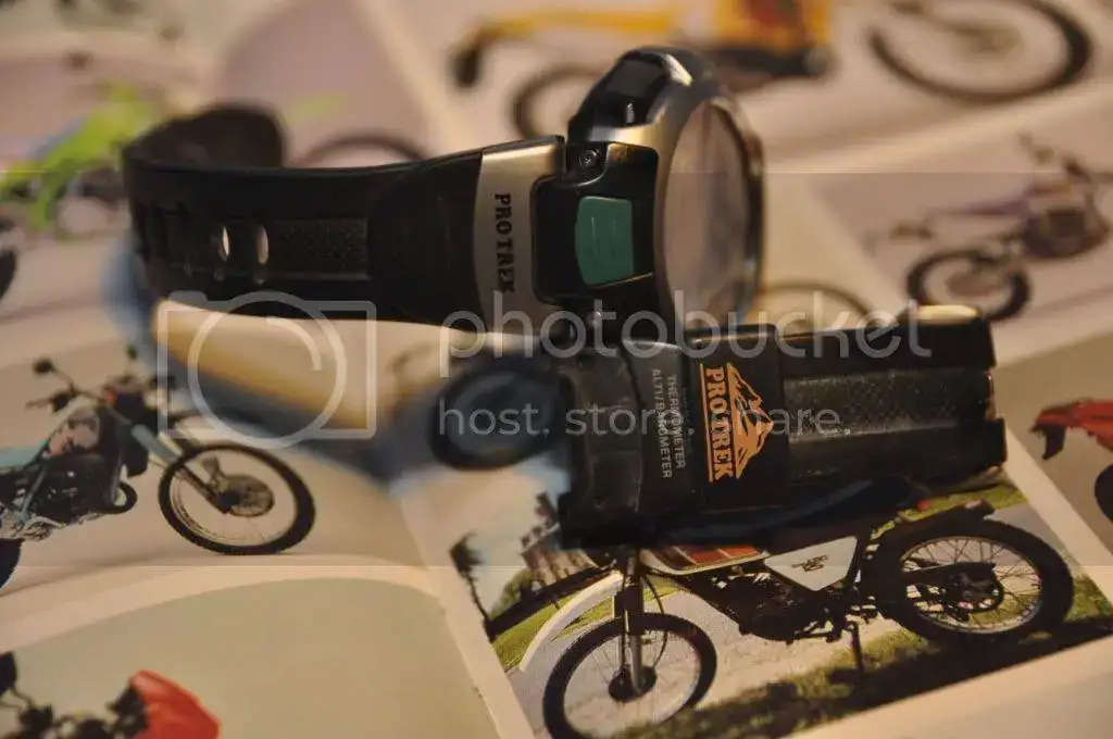 DSC_0006-1.webp
