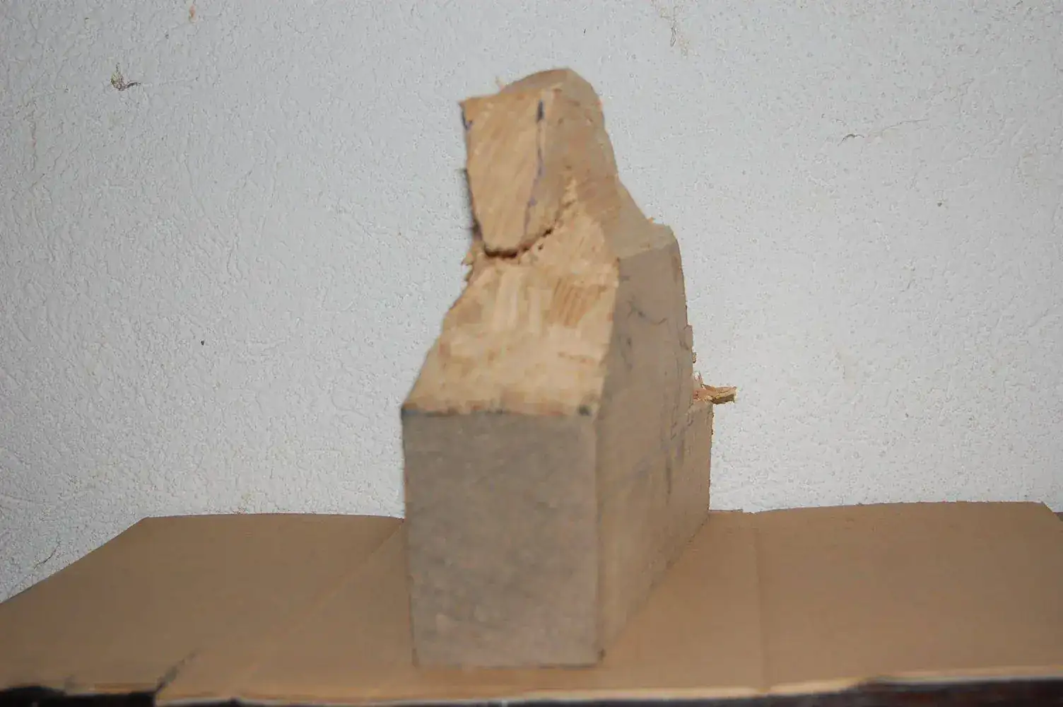 DSC_0006.webp