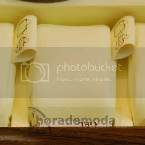 DSC_0009.webp