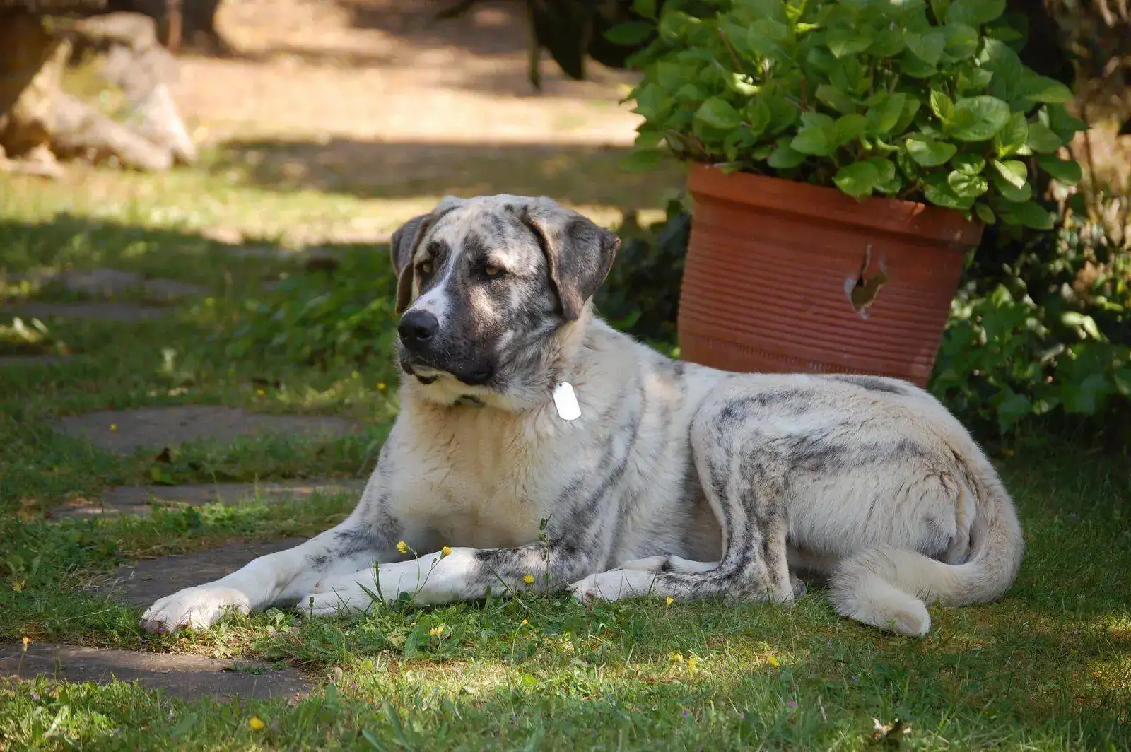 DSC_0015 (2).webp