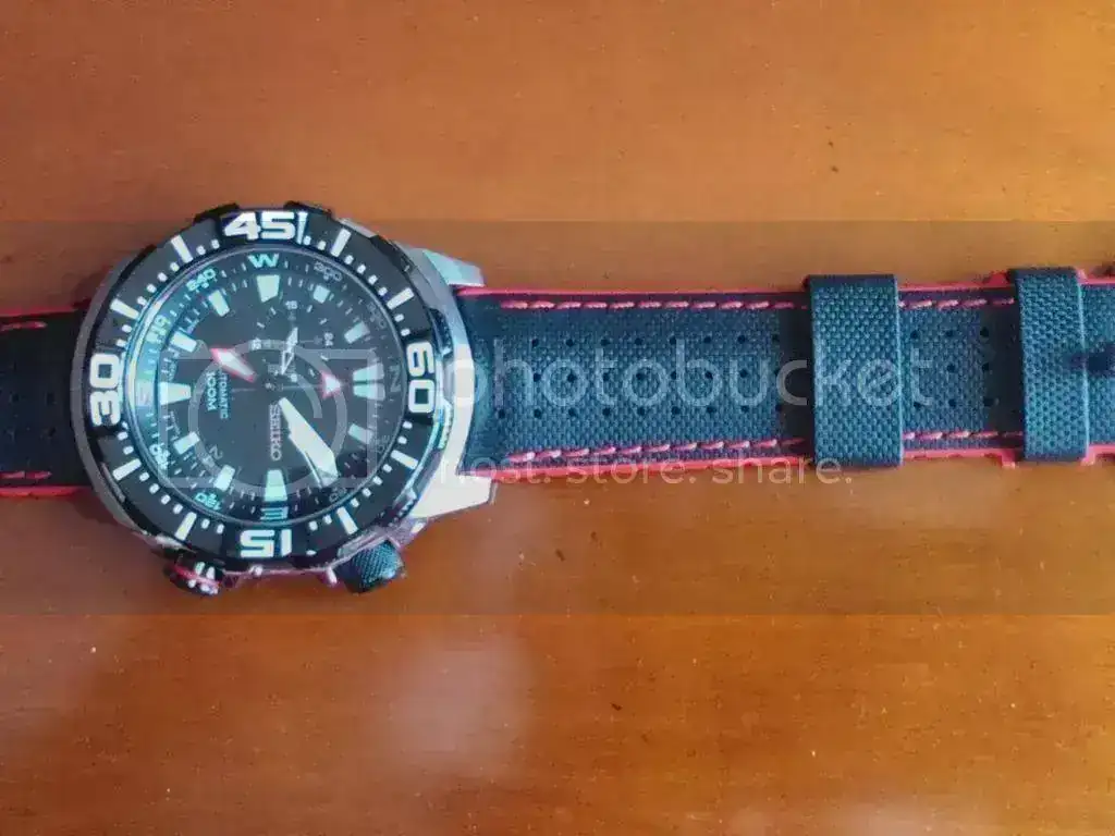 DSC_0055_zps77a74942.webp