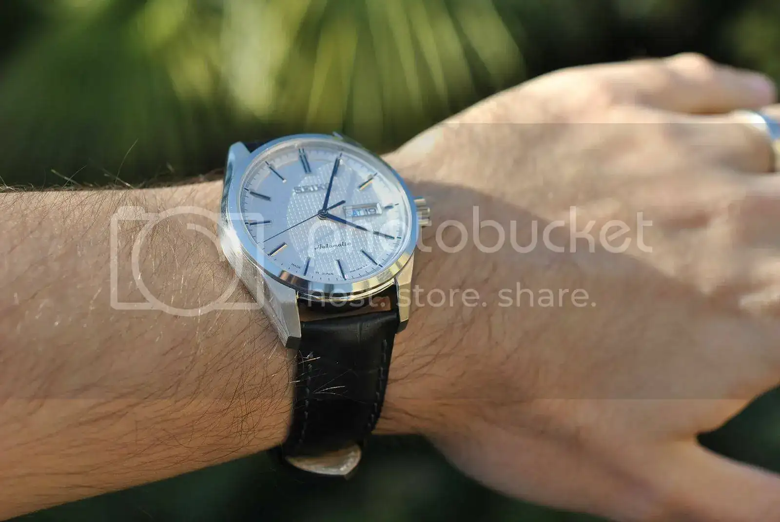 DSC_0071_1.webp