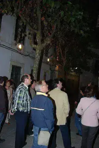 DSC_0074.webp