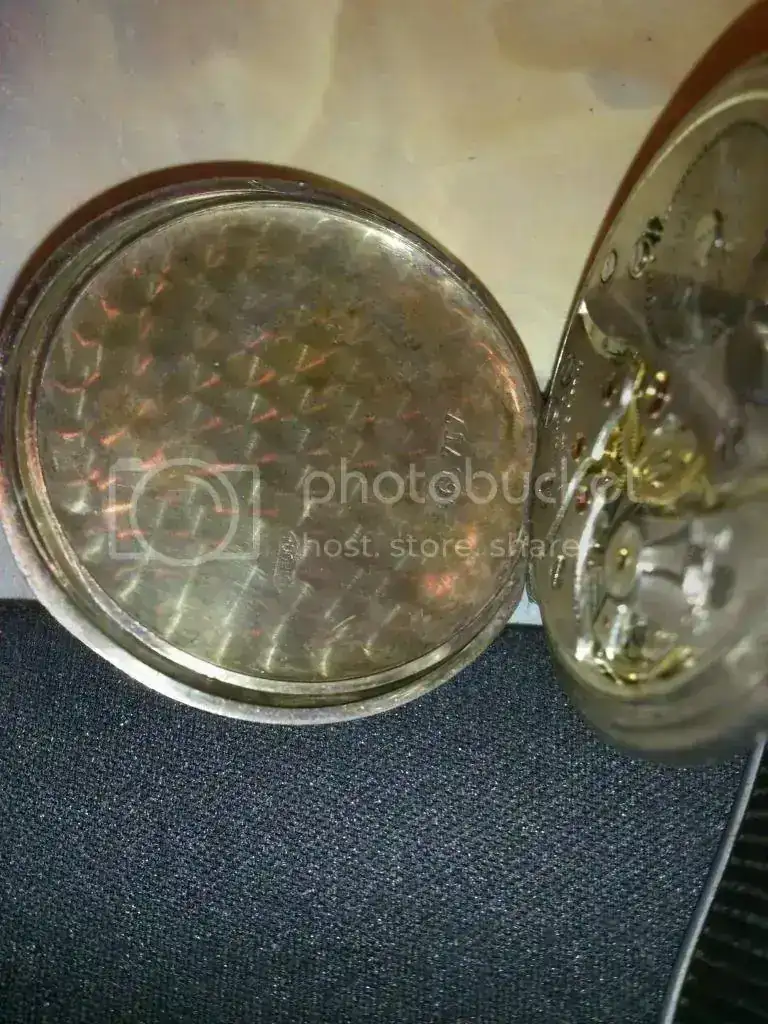 DSC_0115_zps0434f268.webp