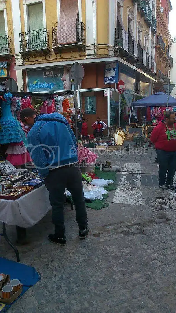 DSC_0133_zps9exifdkw.webp