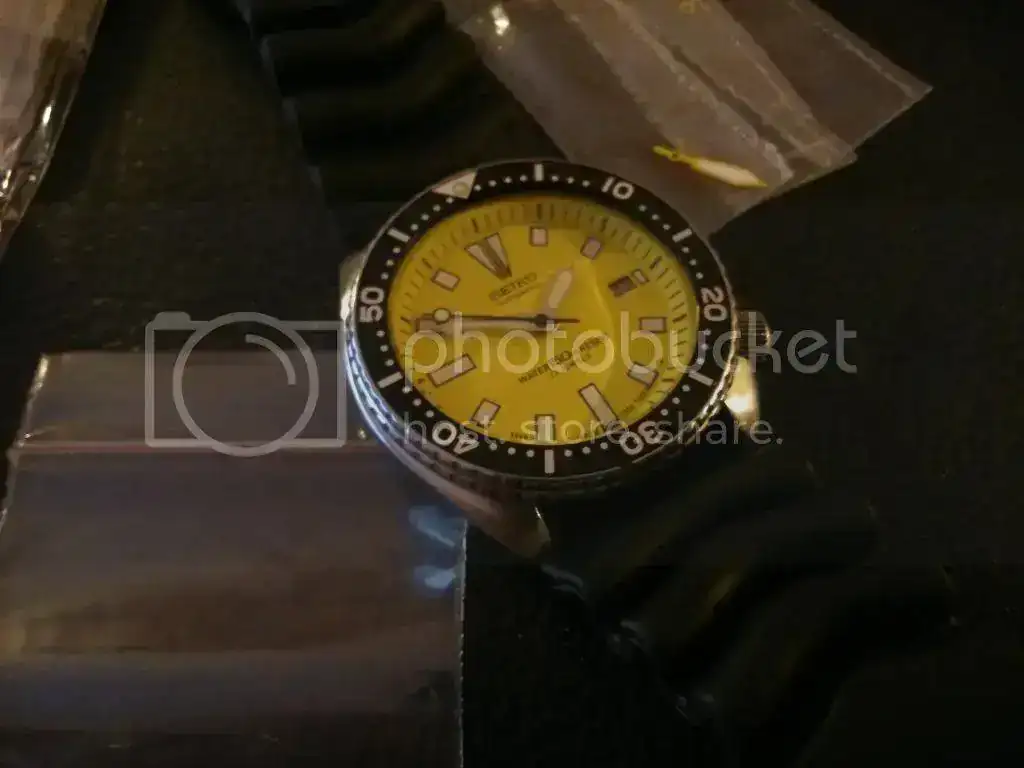 DSC_0156_zpsaf47d4f1.webp