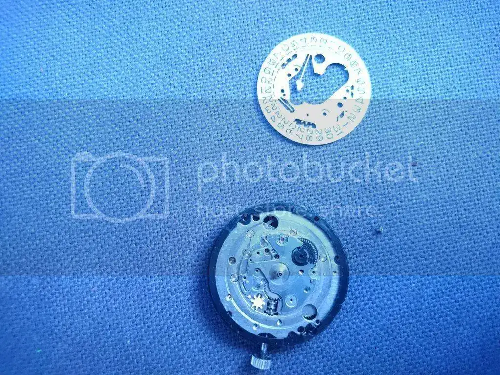 DSC_0171_zps7i5vpjbo.webp