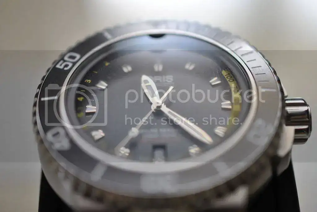 DSC_0199_1.webp