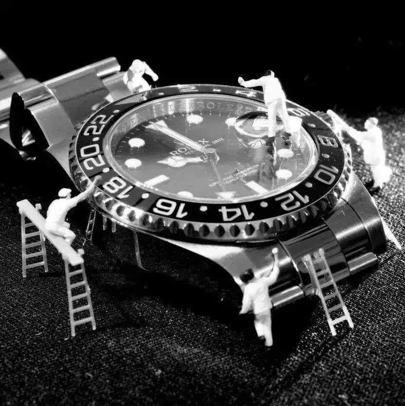 DSC_0200.webp