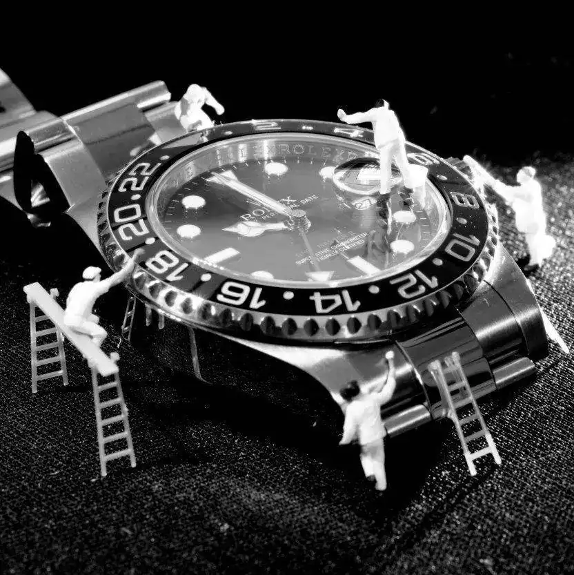 DSC_0200.webp