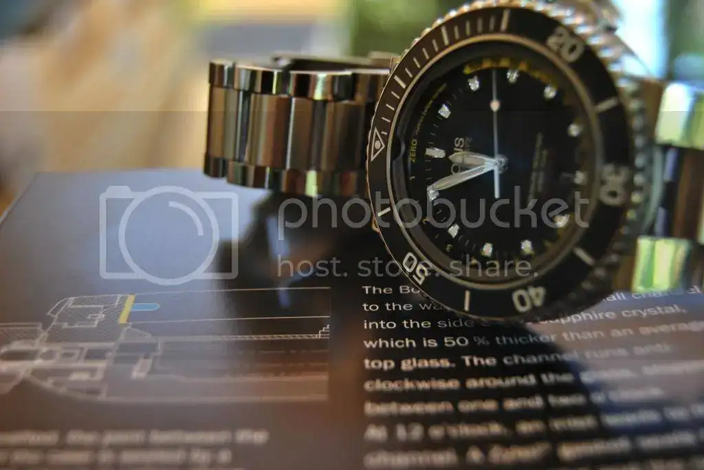 DSC_0207.webp