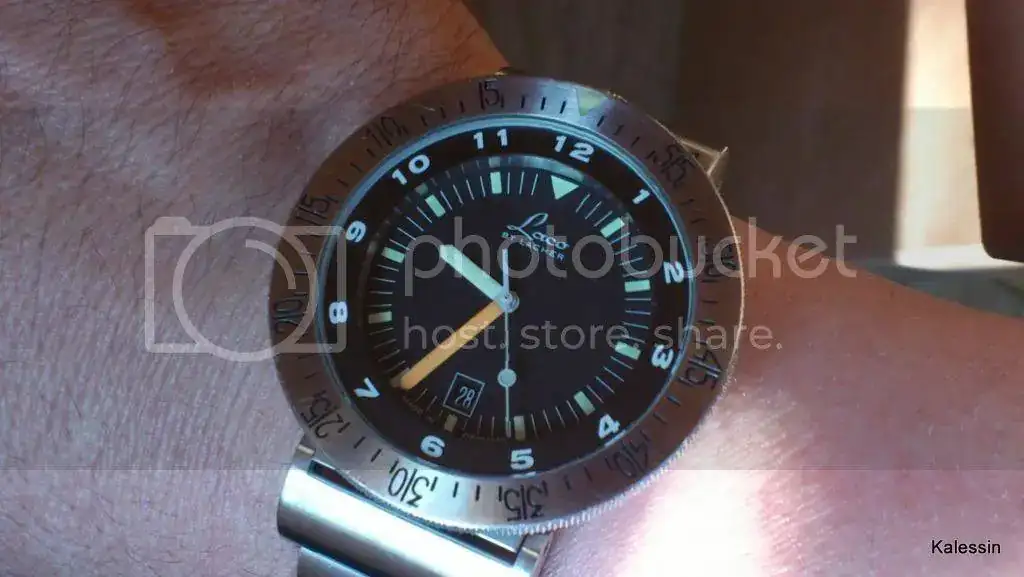 DSC_0212_zps052a55fe.webp