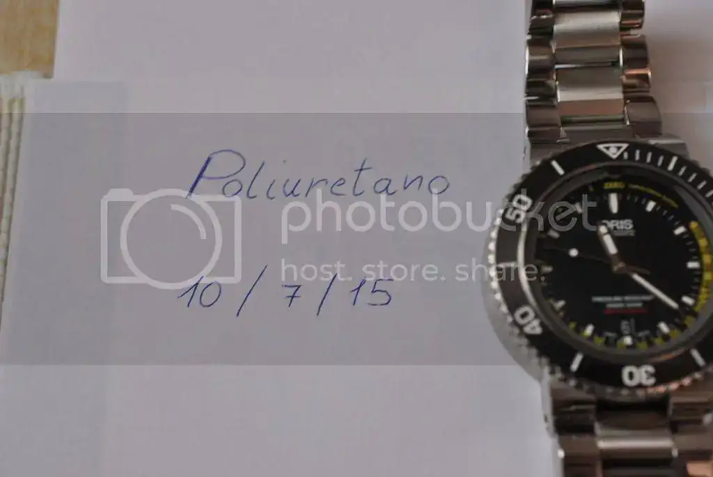 DSC_0233.webp