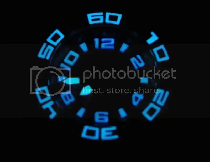 DSC_0250.webp