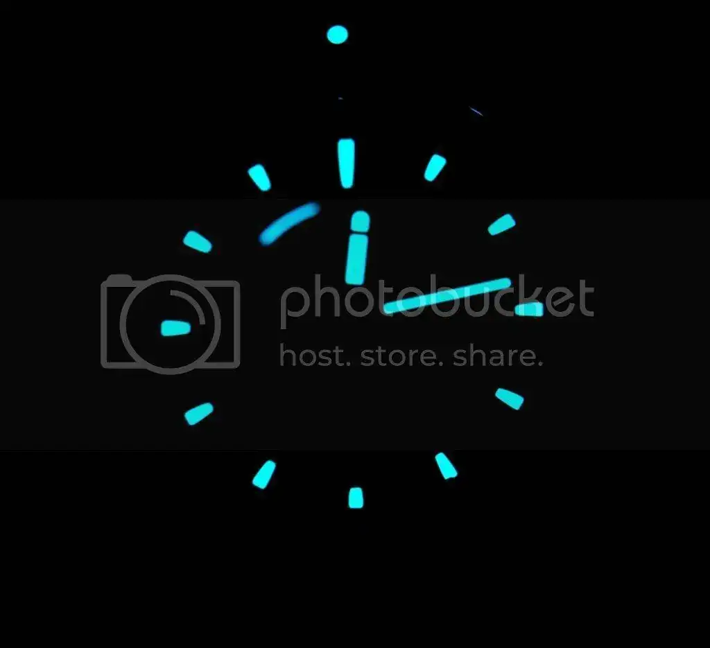 DSC_0253.webp
