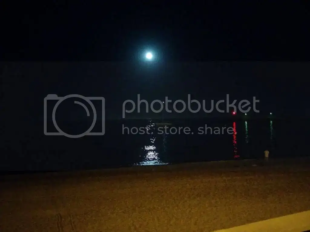DSC_0256_zpssiqmv9ht.webp