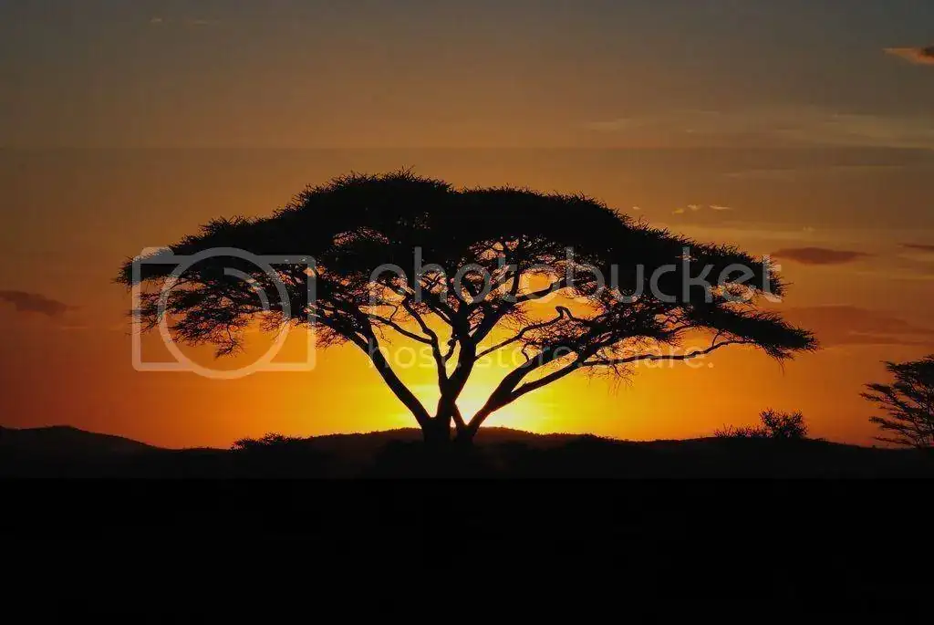 DSC_0268_zpsh4makrqa.webp