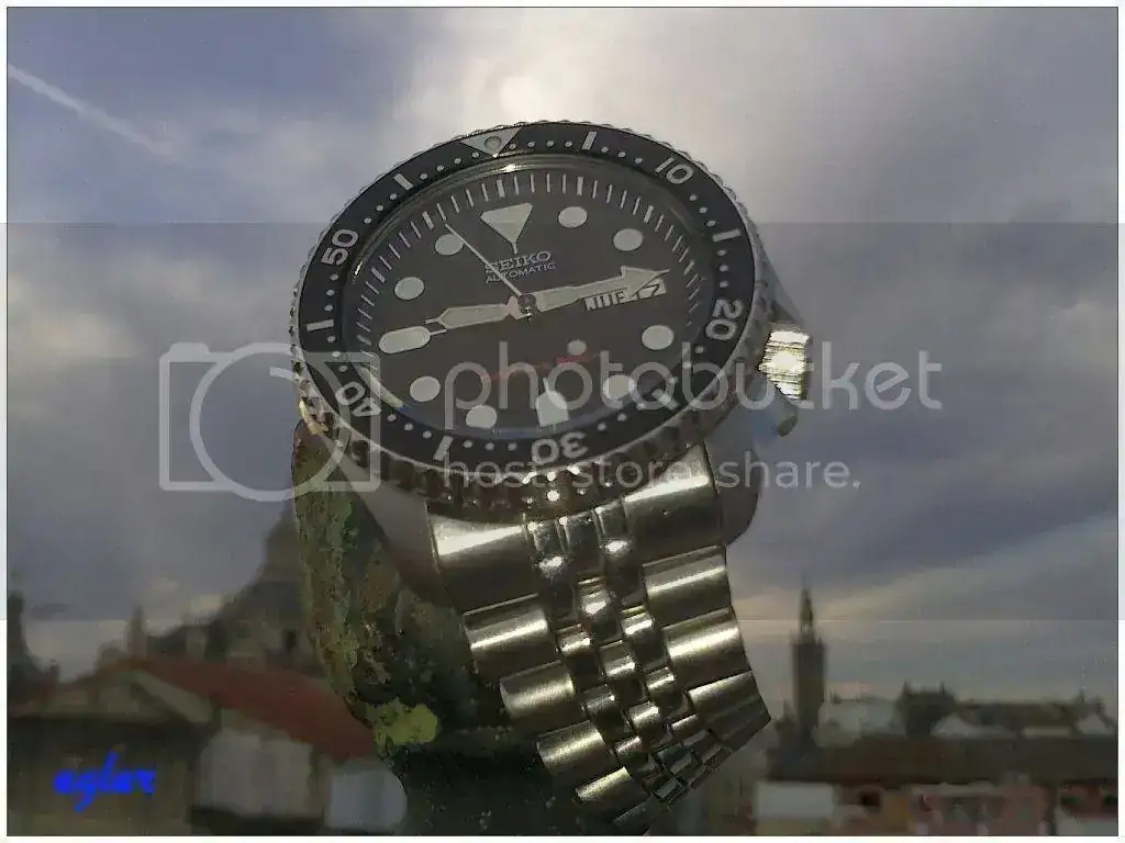 DSC_0274_zps1a4c89ee.webp