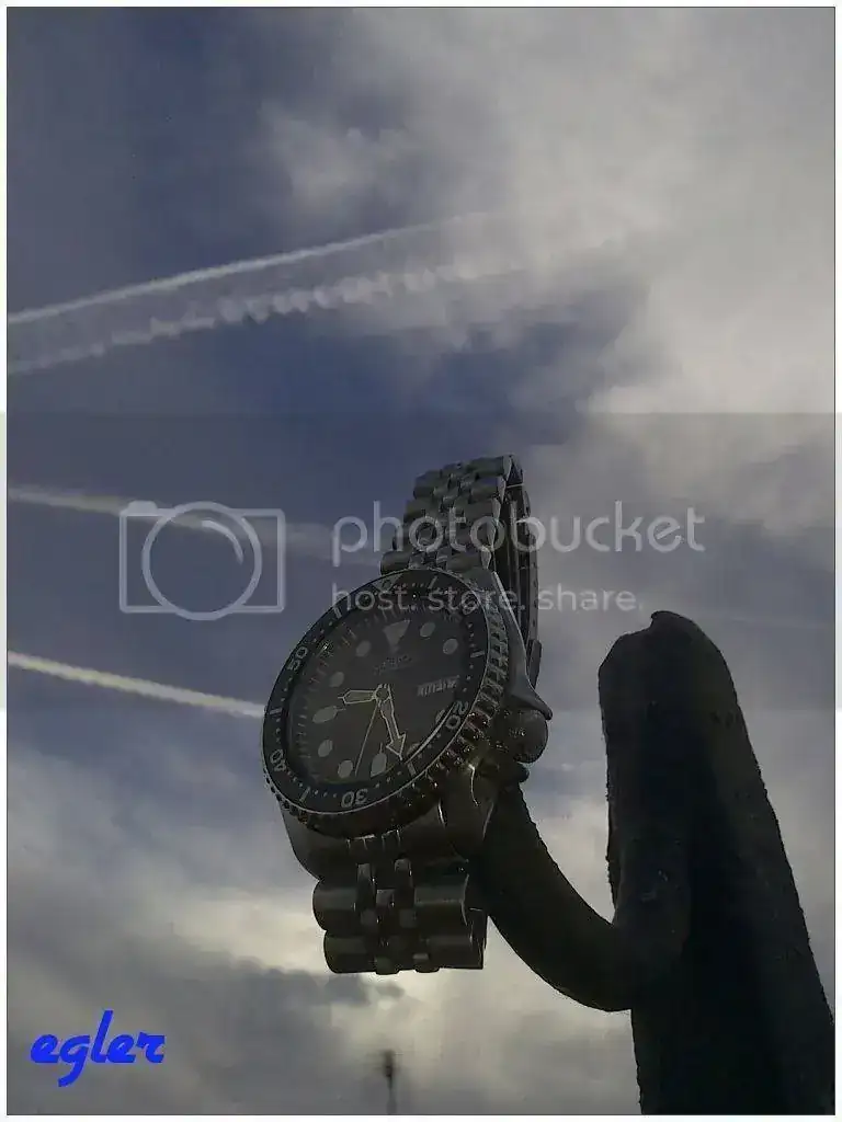 DSC_0286_zpsf0e8ffd7.webp