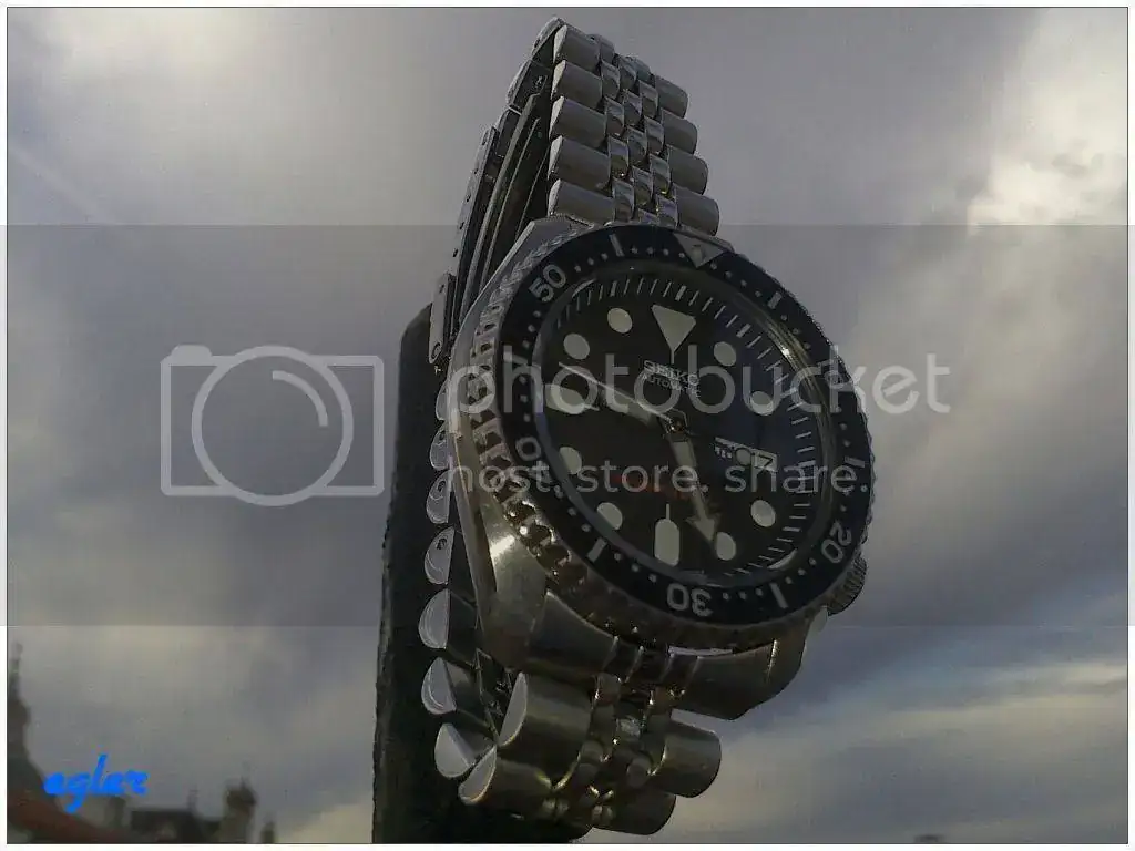 DSC_0287_zpsb672bfb8.webp