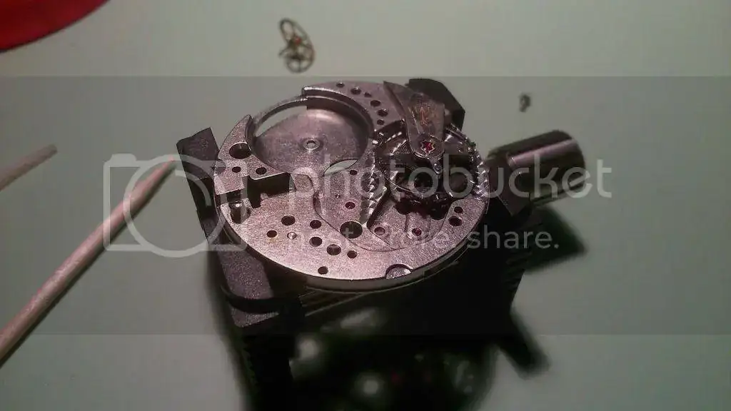 DSC_0311_zps6cxtpm56.webp