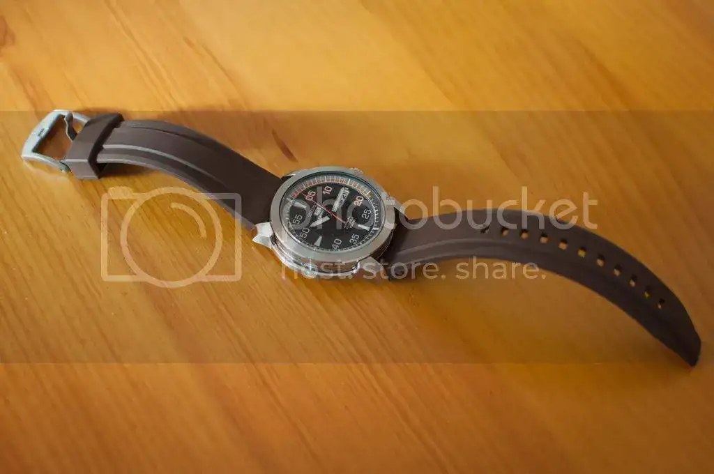DSC_0339.webp