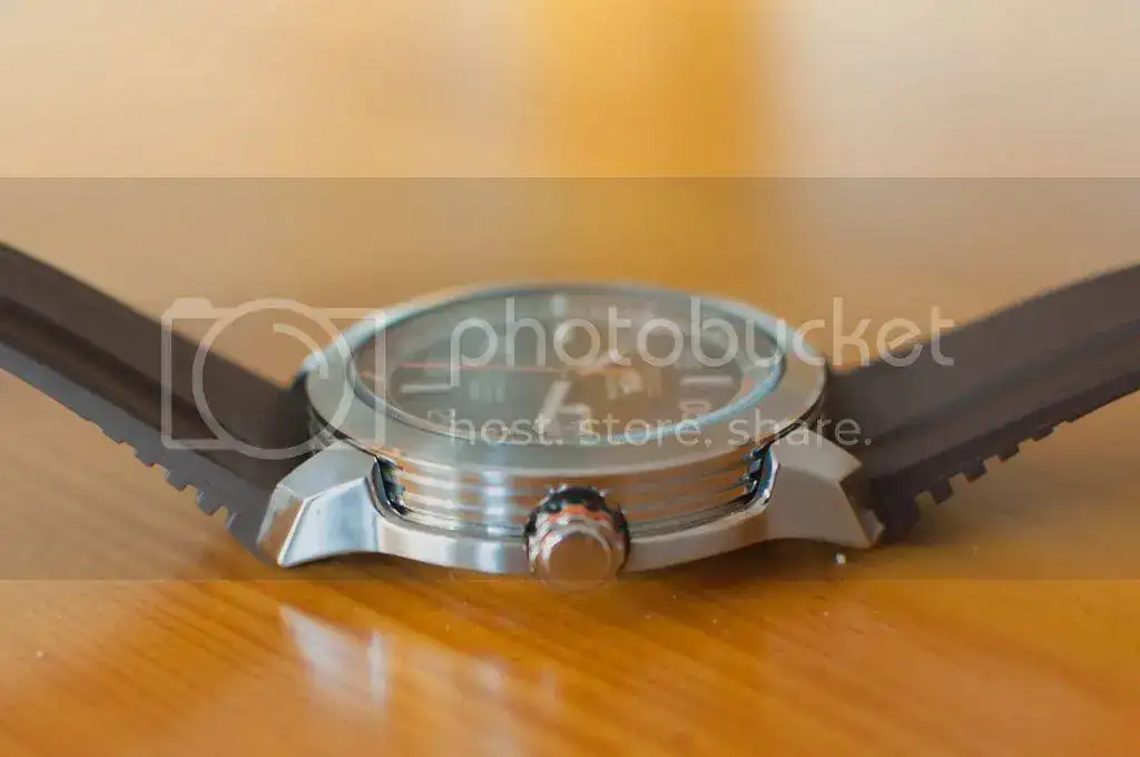 DSC_0346.webp