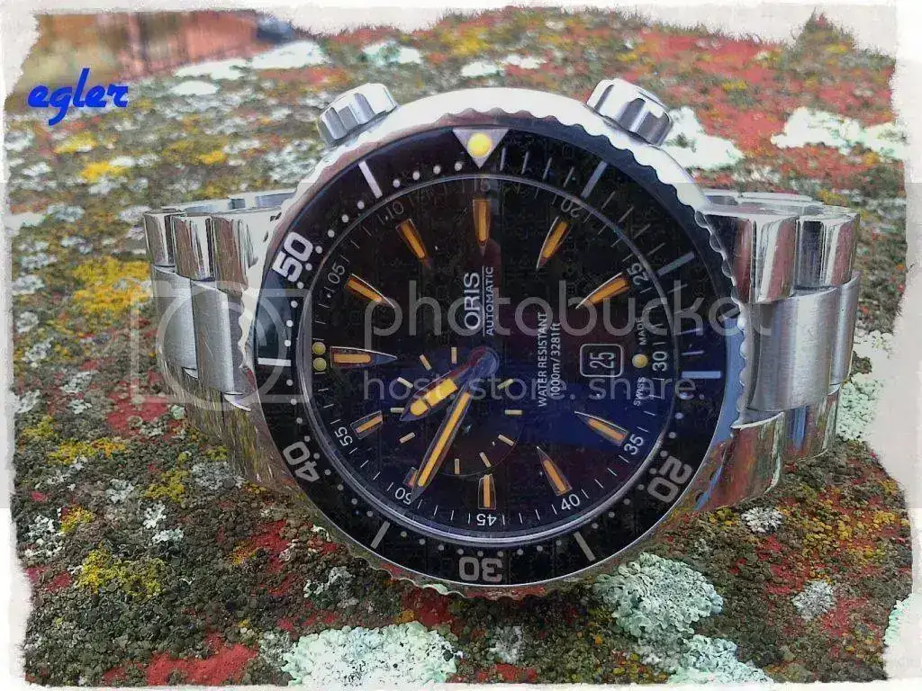 DSC_0356_zpscad63bdb.webp