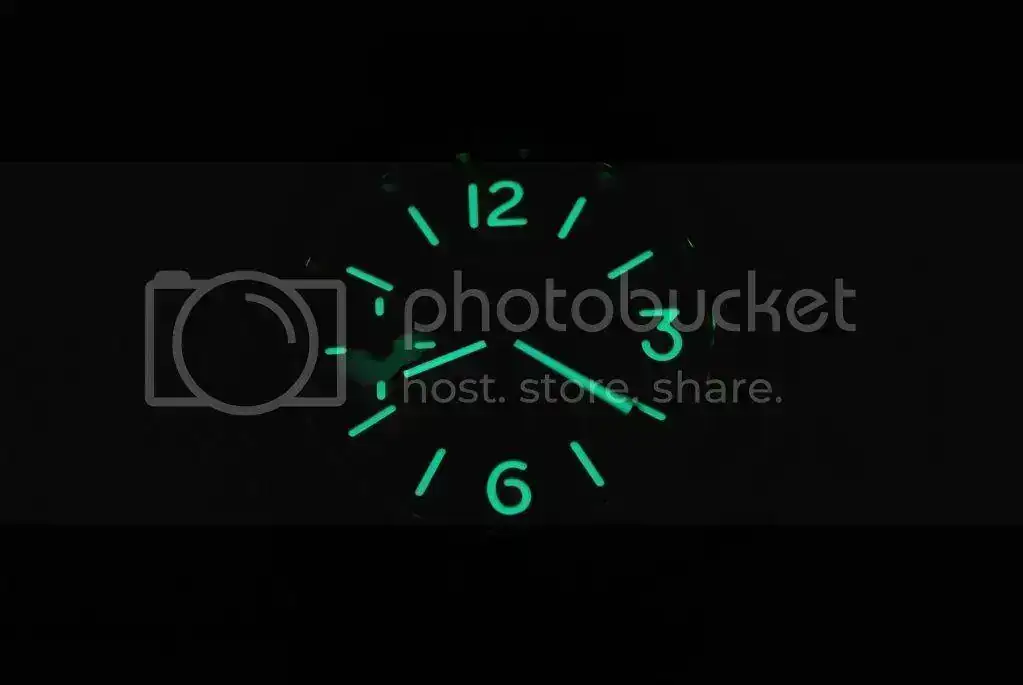 DSC_0384.webp