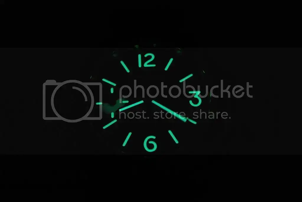 DSC_0384.webp