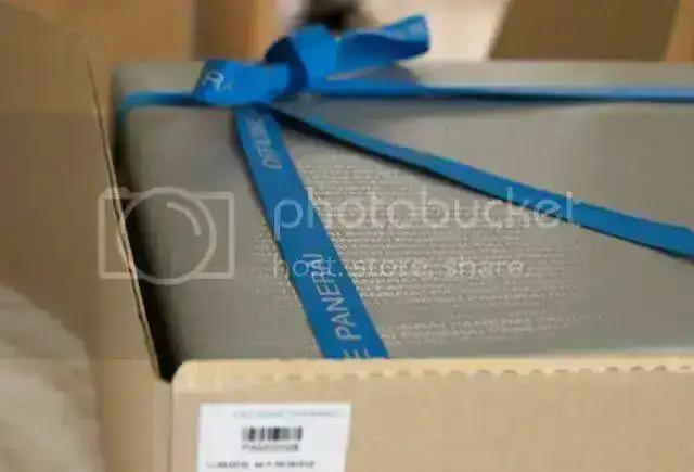 DSC_0385.webp