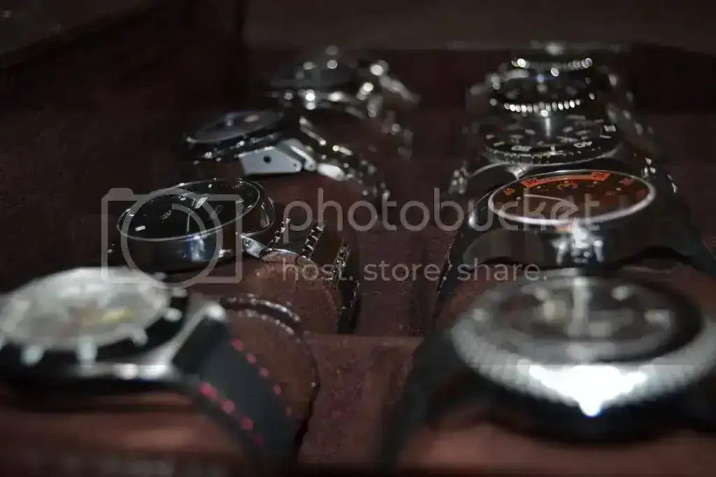 DSC_0421_zps0d530cde.webp