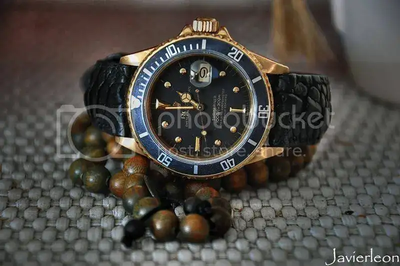 DSC_0424a__zpsgwsm1crz.webp