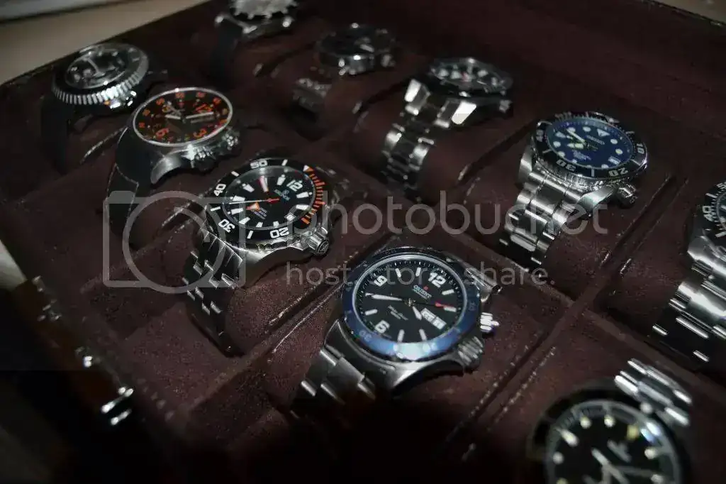 DSC_0449_zps5591c973.webp