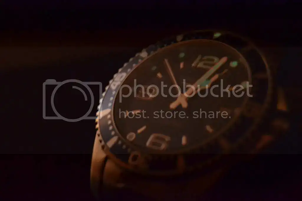 DSC_0453_zps69b61255.webp