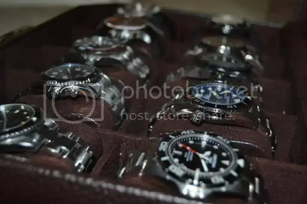 DSC_0453_zpsa8c7c855.webp