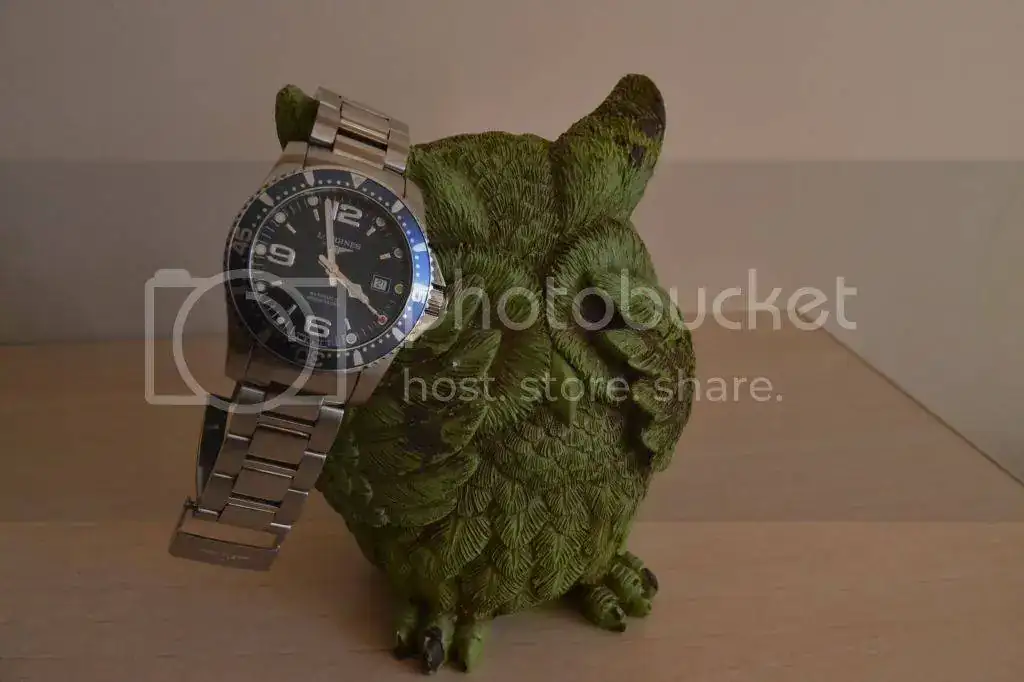 DSC_0464_zps9752b447.webp