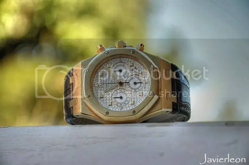 DSC_0478b_final_zps7gcu3hwe.webp