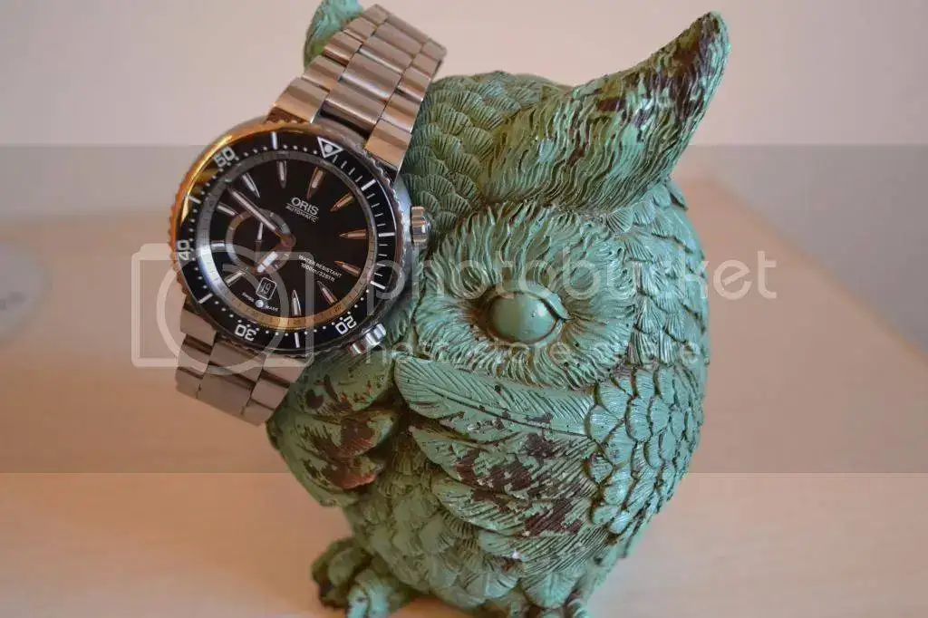DSC_0483_zps08032302.webp