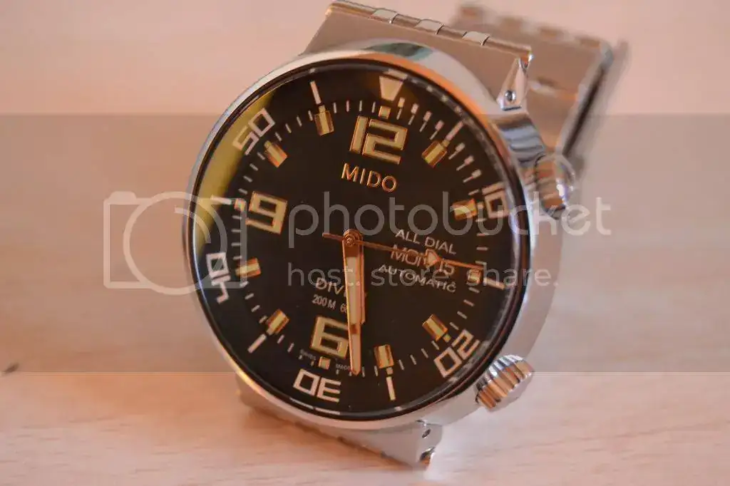 DSC_0486_zps8e5b3ff7.webp