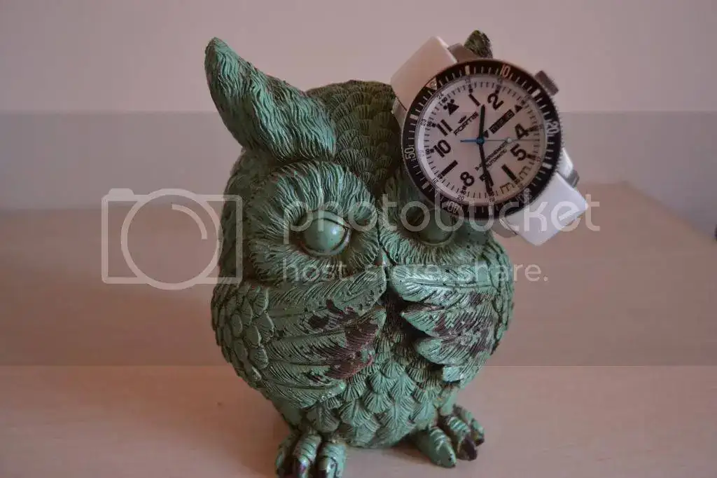 DSC_0495_zps4a38f746.webp