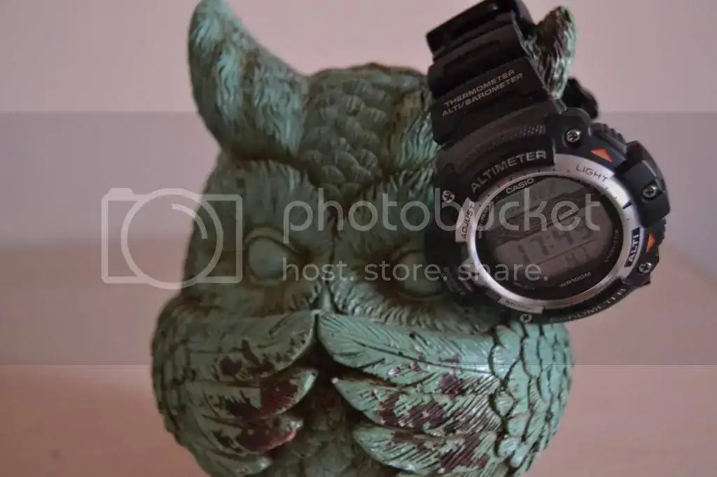 DSC_0504_zps13136578.webp