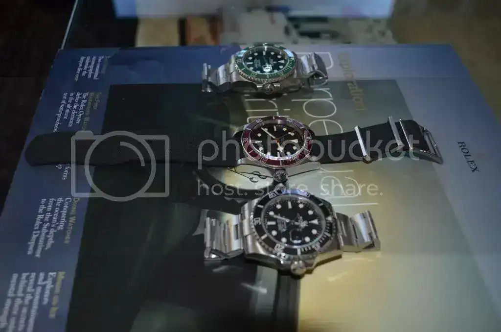 DSC_0515_zps8e247545.webp