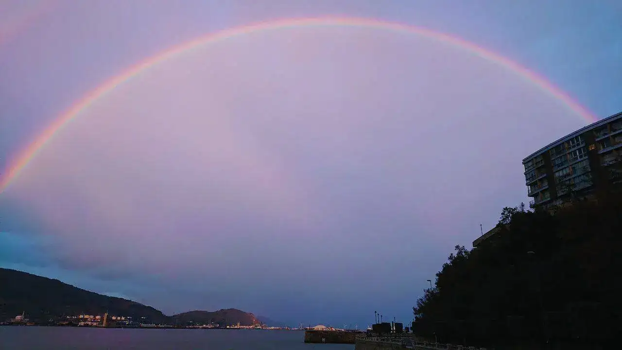 DSC_0520~2.webp