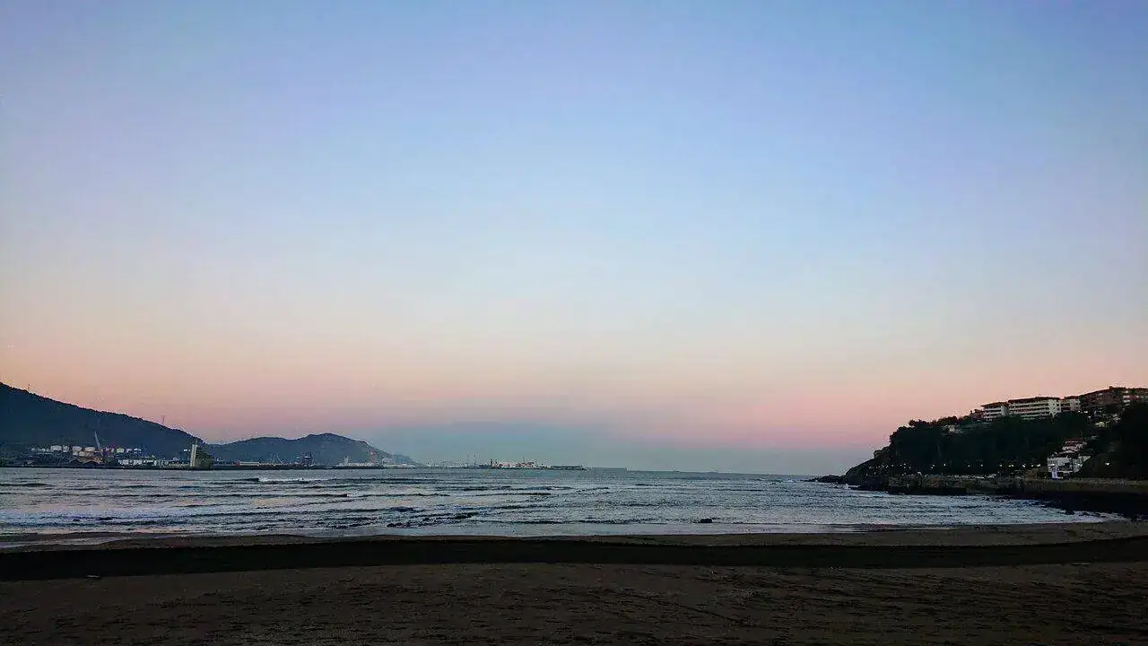 DSC_0565~2.webp
