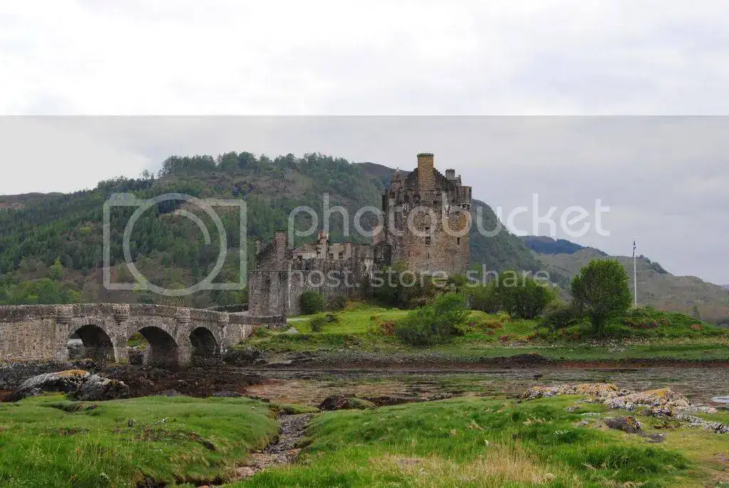 DSC_0590_zpsev8puuse.webp