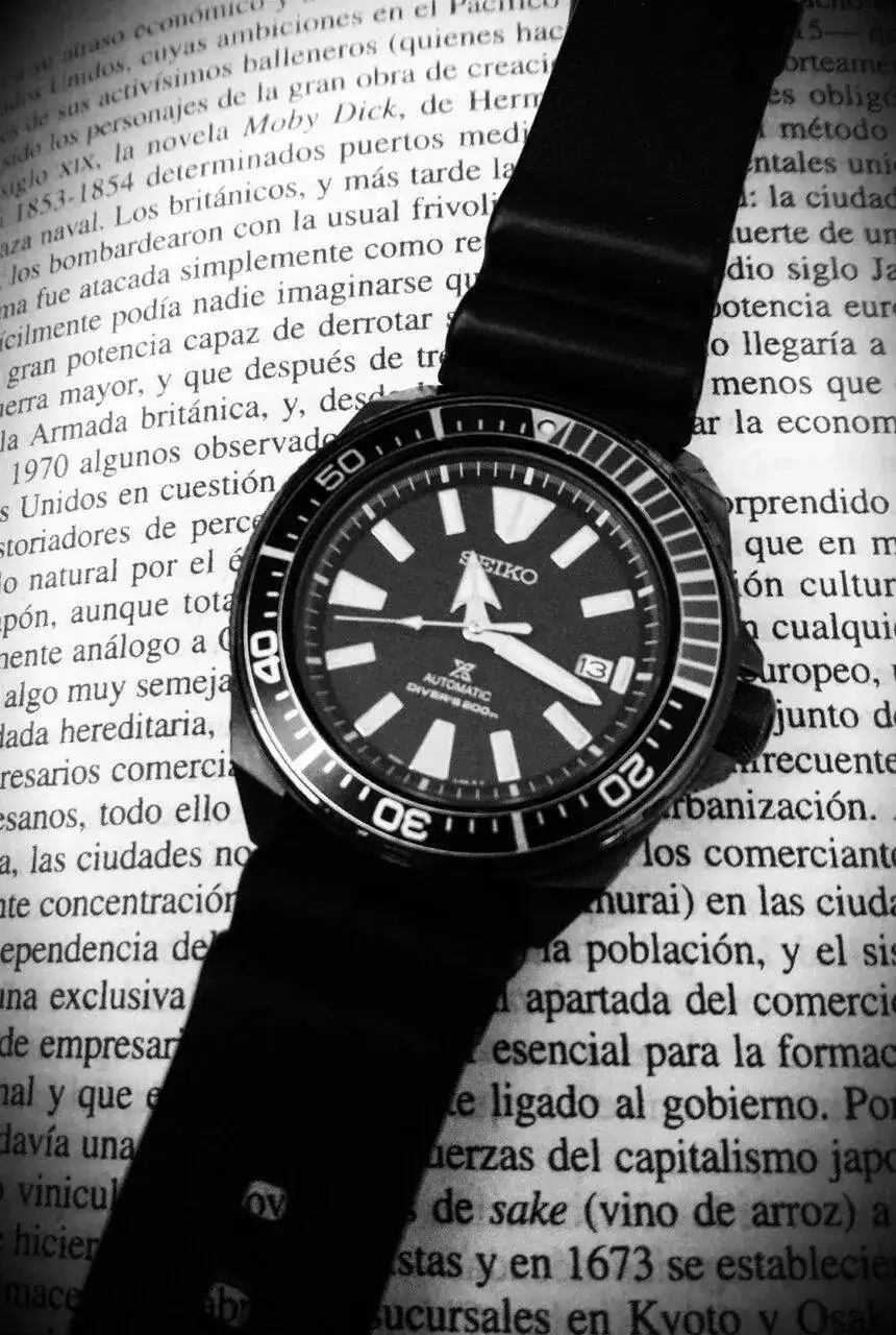 DSC_0633_20221013112213214.webp