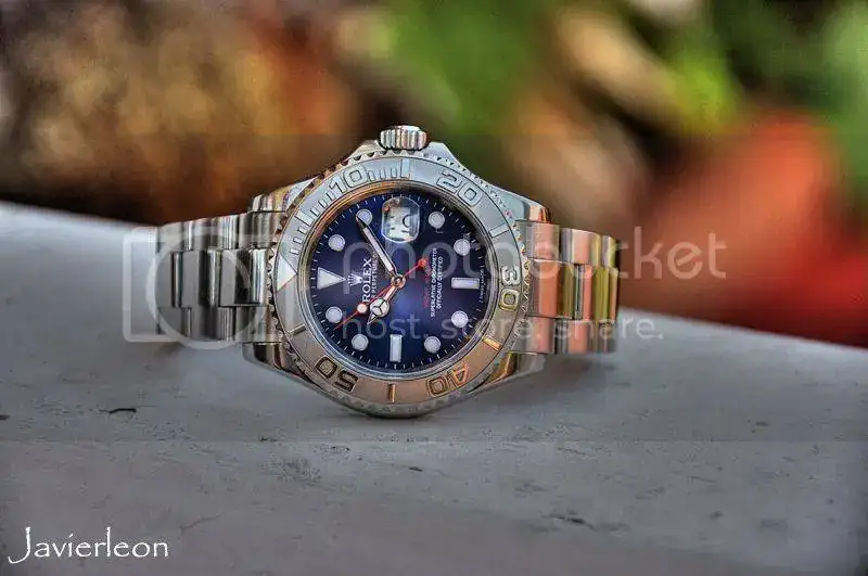 DSC_0673a__zpsb6cfc97f.webp